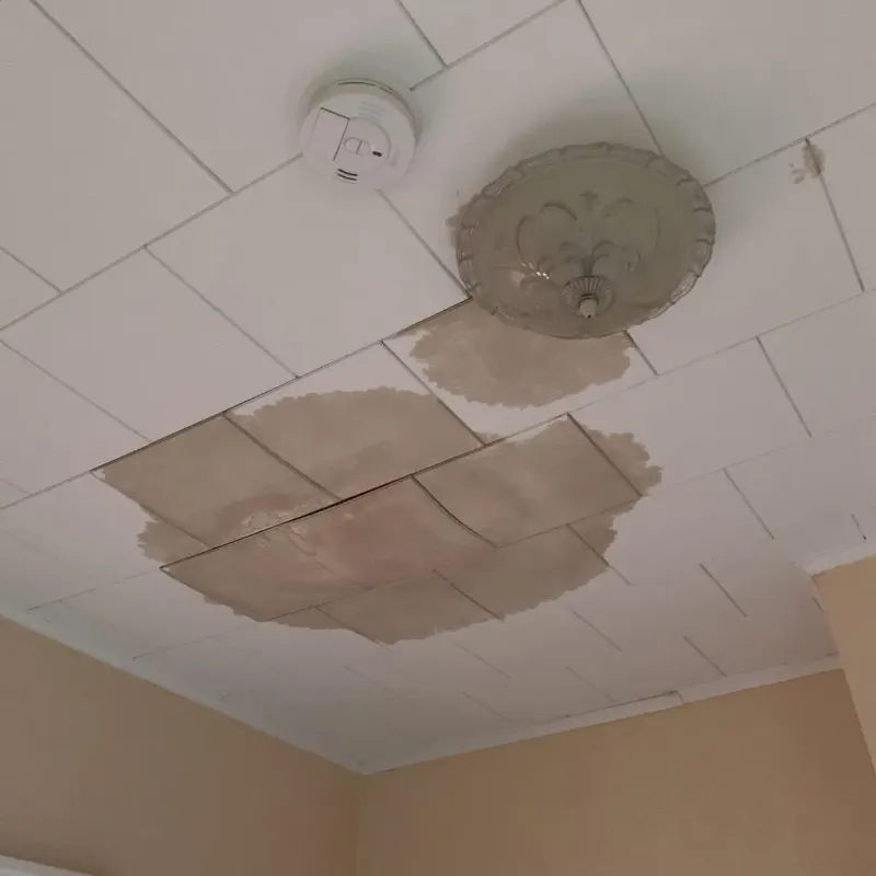 Ceiling Water Damage Repair in South Suffolk, VA