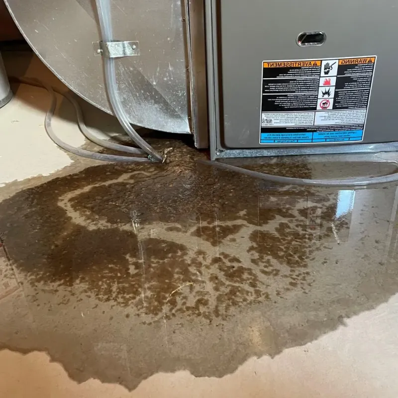 Pipe Burst and Leak Restoration in South Suffolk, VA