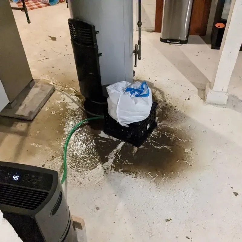 Sewage Backup Cleanup Service in South Suffolk, VA